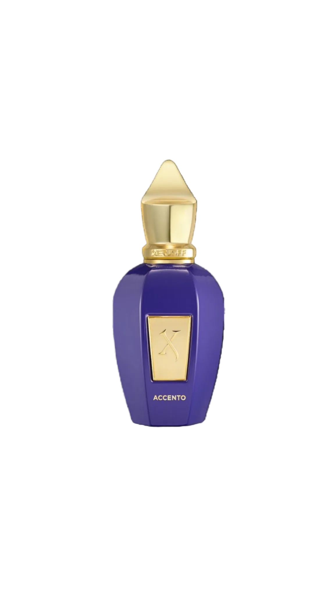 Xerjoff Accento Eau de Parfum 100ml / 3.4 fl oz