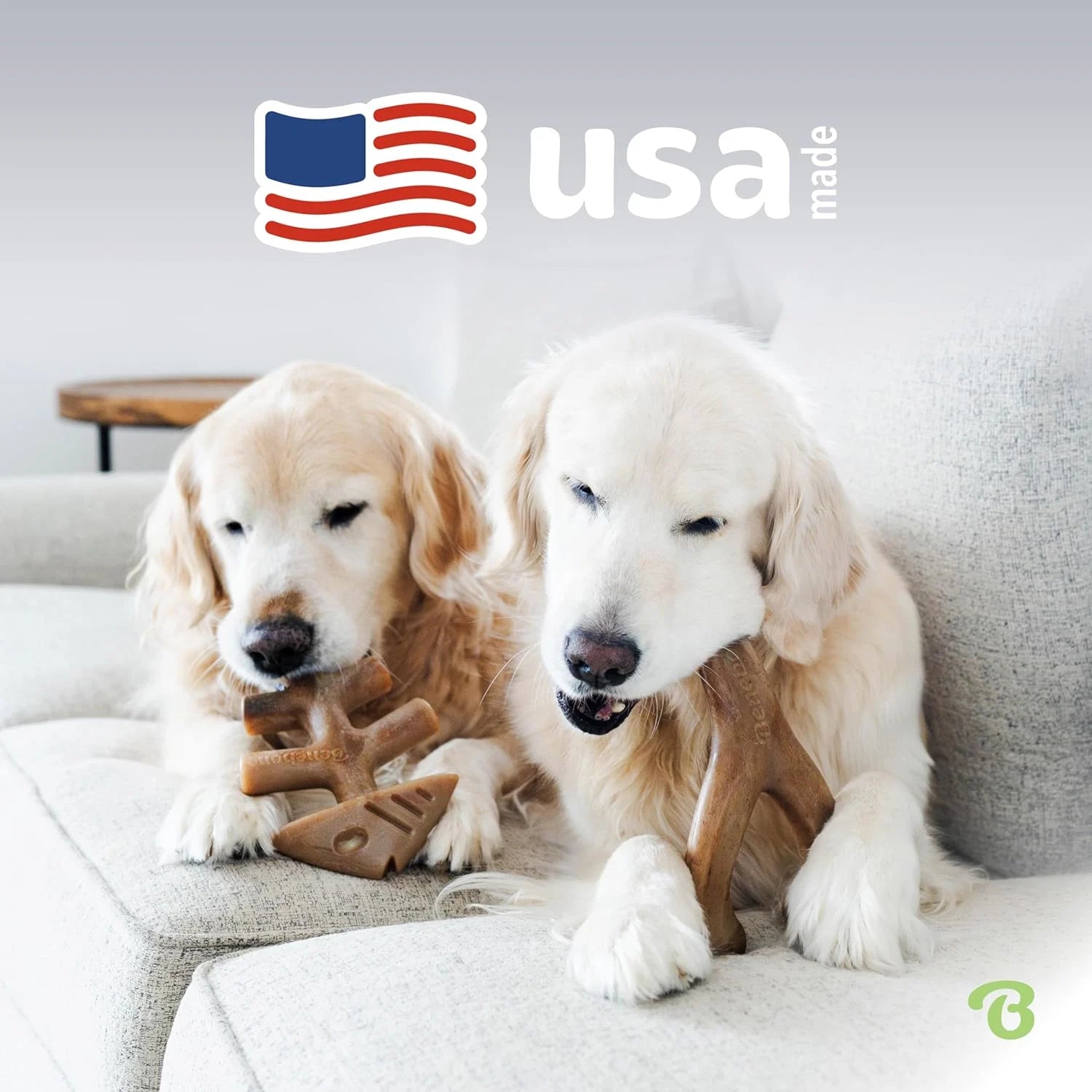 Fishbone & Wishbone Durable Dog Chew Toy Set (2-Pack)