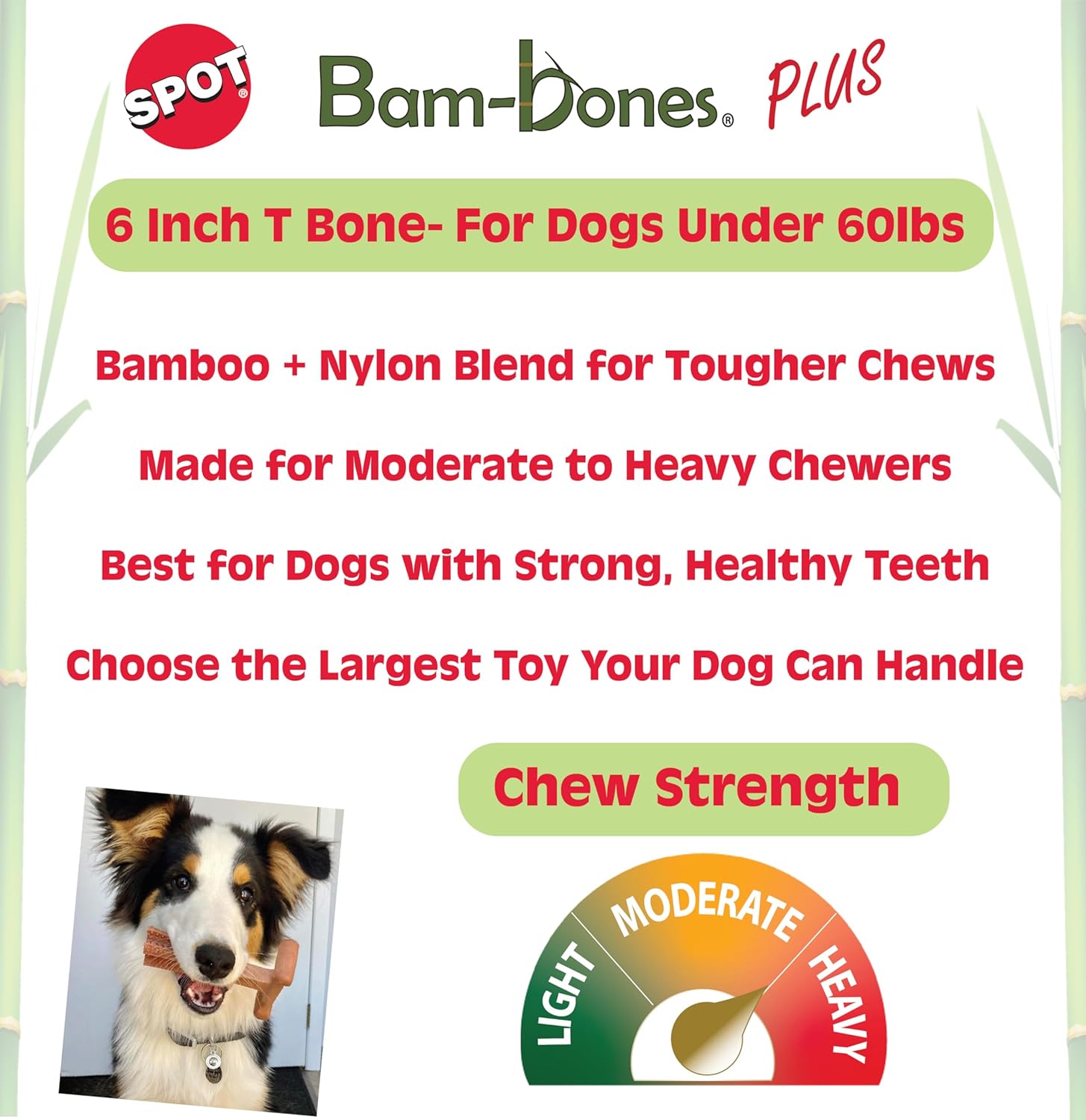 Durable Beef Flavor Dog Chew