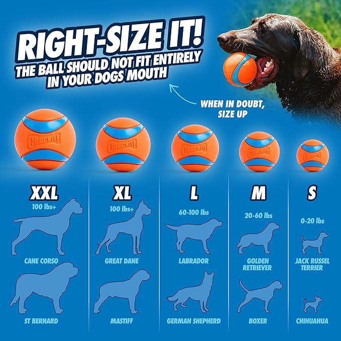 Durable Bouncy Fetch Dog Balls