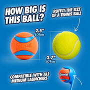 Durable Bouncy Fetch Dog Balls