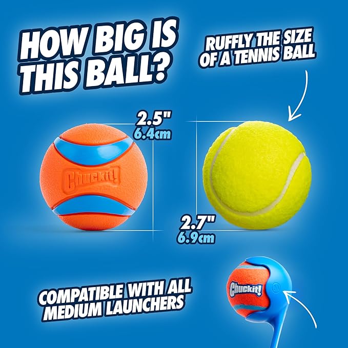 Durable Bouncy Fetch Dog Balls