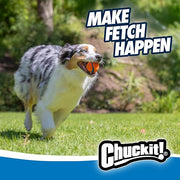 Durable Bouncy Fetch Dog Balls