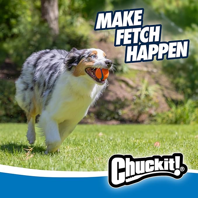 Durable Bouncy Fetch Dog Balls