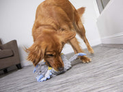 Durable Dinosaur Plush Dog Toy