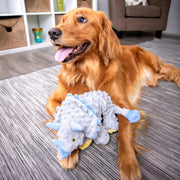 Durable Dinosaur Plush Dog Toy