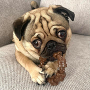 Durable Dog Chew Bone Toy