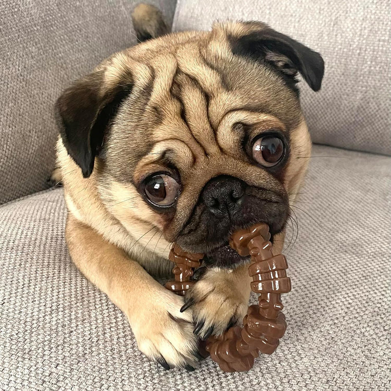 Durable Dog Chew Bone Toy