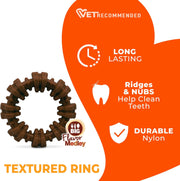 Durable Dog Chew Bone Toy