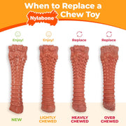 Durable Dog Chew Bone Toy