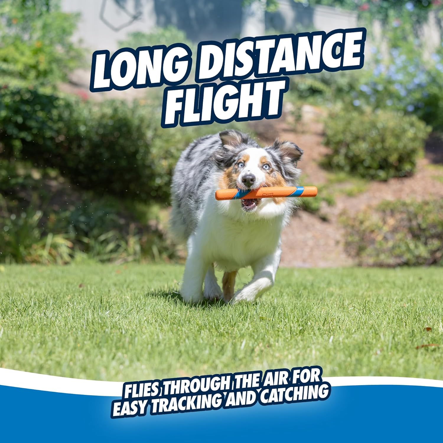 Durable Outdoor Fetch Stick Toy