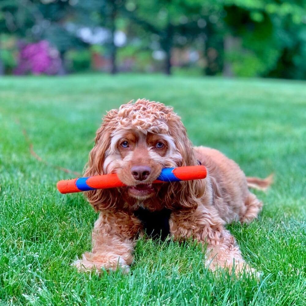 Durable Outdoor Fetch Stick Toy