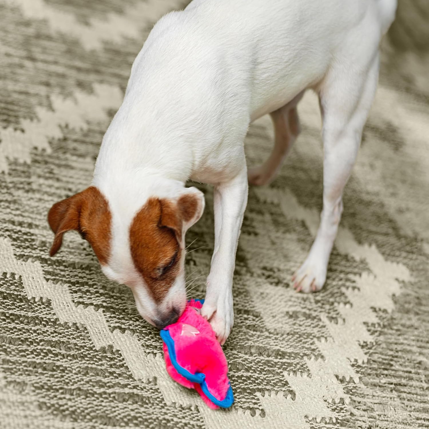 Durable Squeaky Pig Plush Toy