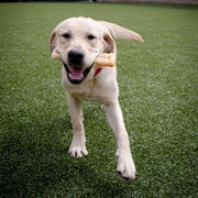 Textured Knuckle Dog Chew Bone