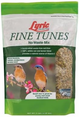 Fine Tunes Bird Seed