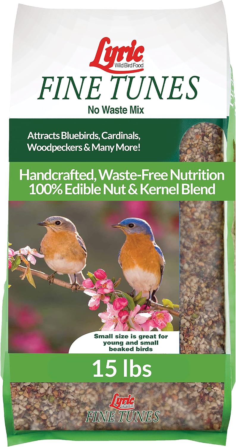 Fine Tunes Bird Seed