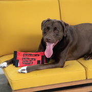 Firehose Fetch Squeaky Dog Toy
