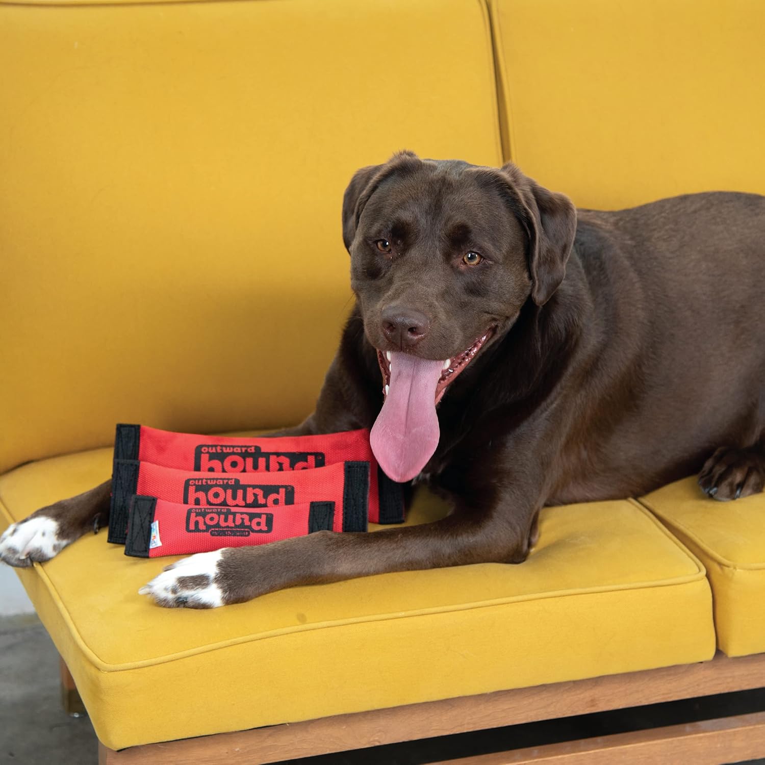 Firehose Fetch Squeaky Dog Toy