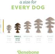 Fish Flavor Bone Dog Chew Toy – Small