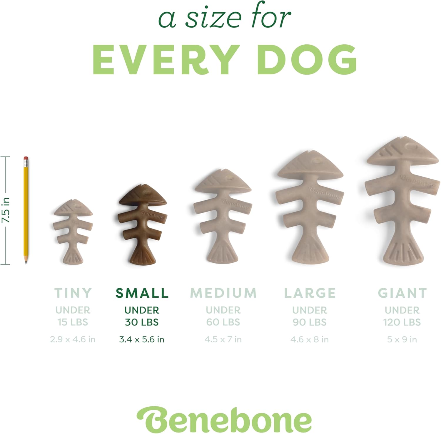 Fish Flavor Bone Dog Chew Toy – Small