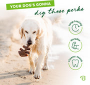 Fish Flavor Bone Dog Chew Toy – Small