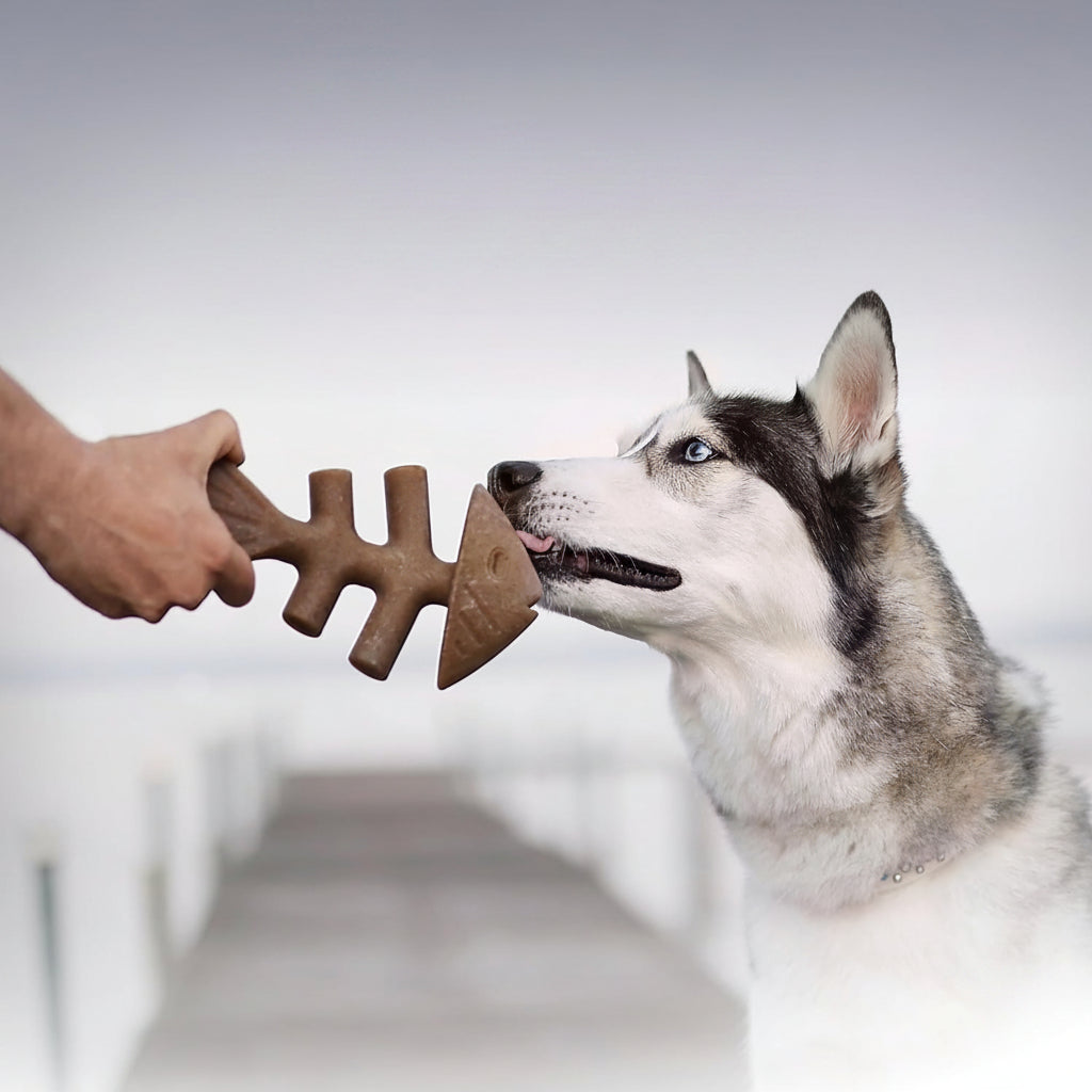 Fish Flavor Fishbone Dog Chew Toy – Medium