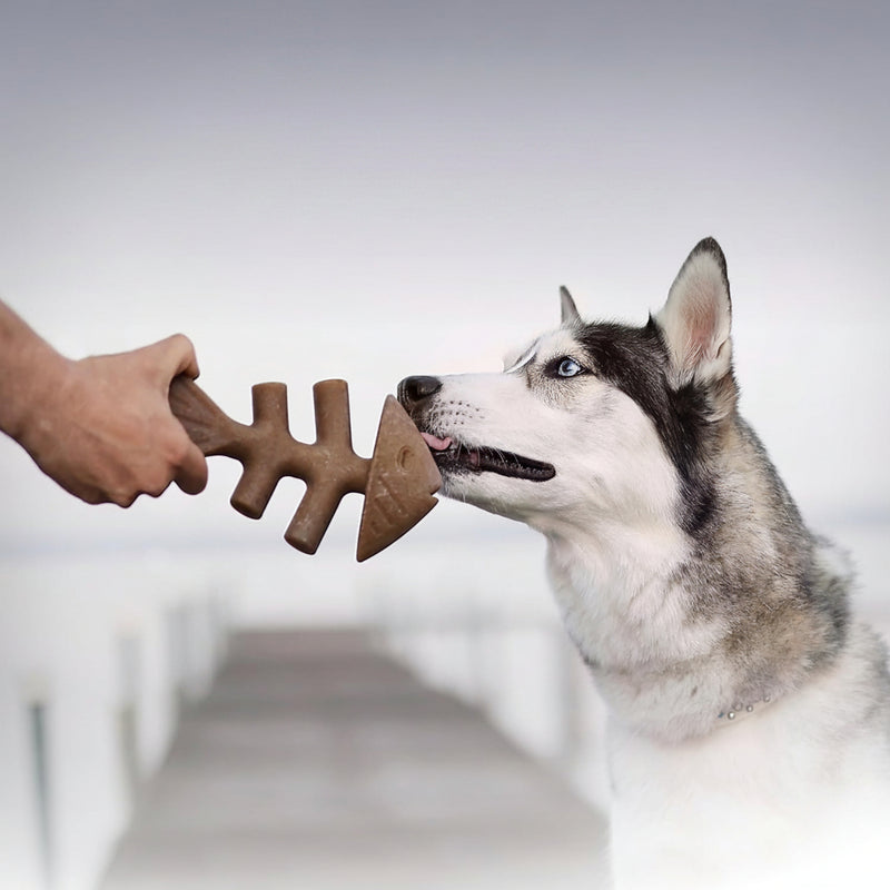 Fish Flavor Fishbone Dog Chew Toy – Medium