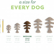 Fish Flavor Fishbone Dog Chew Toy – Medium