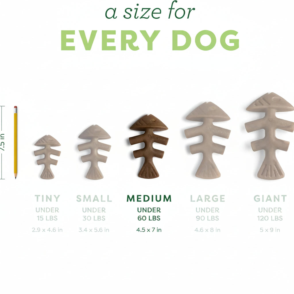 Fish Flavor Fishbone Dog Chew Toy – Medium