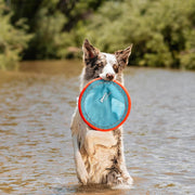 Floating Flying Disc Dog Toy