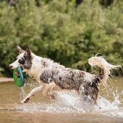 Floating Flying Disc Dog Toy