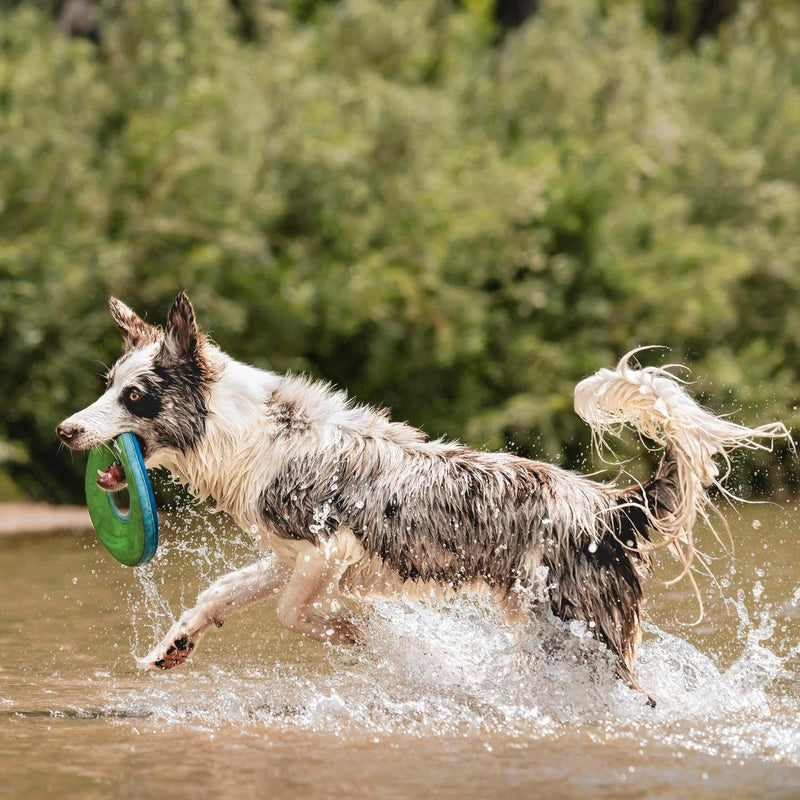 Floating Flying Disc Dog Toy