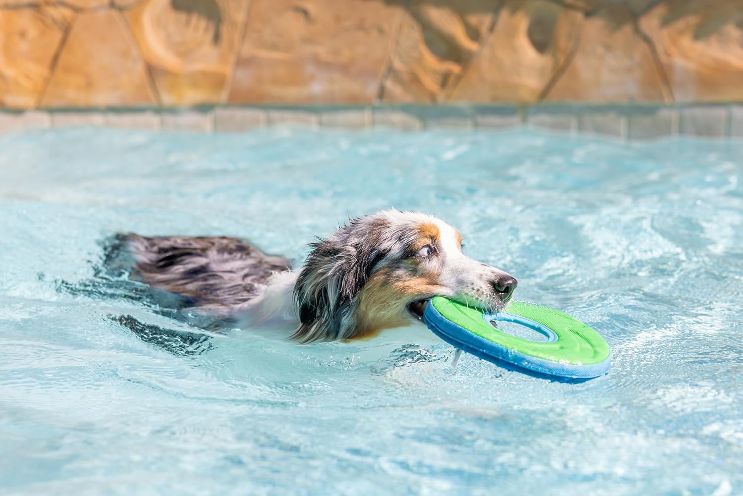 Floating Flying Disc Dog Toy