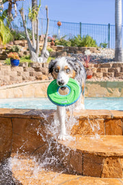 Floating Flying Disc Dog Toy