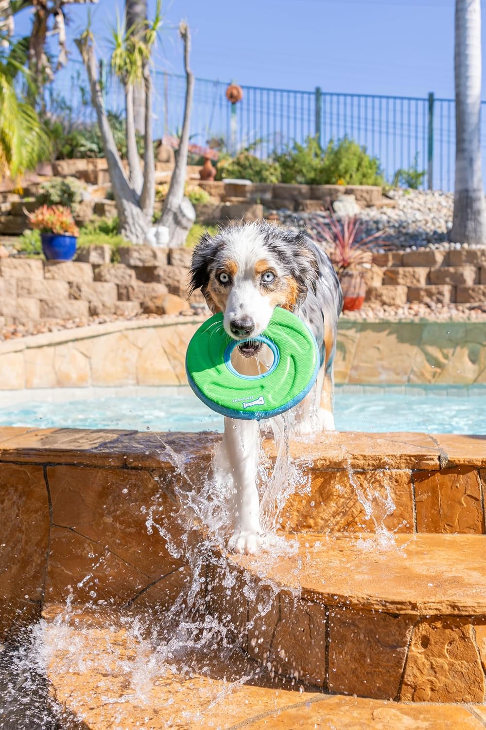 Floating Flying Disc Dog Toy