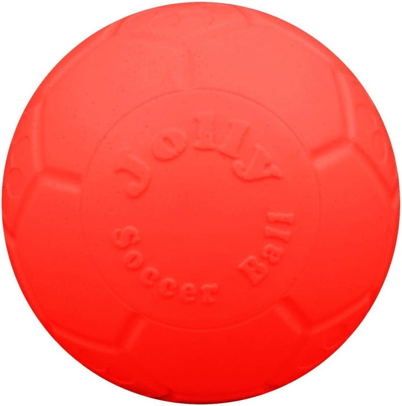 Floating Soccer Ball Dog Toy