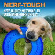 Flying Disc Dog Toy Set