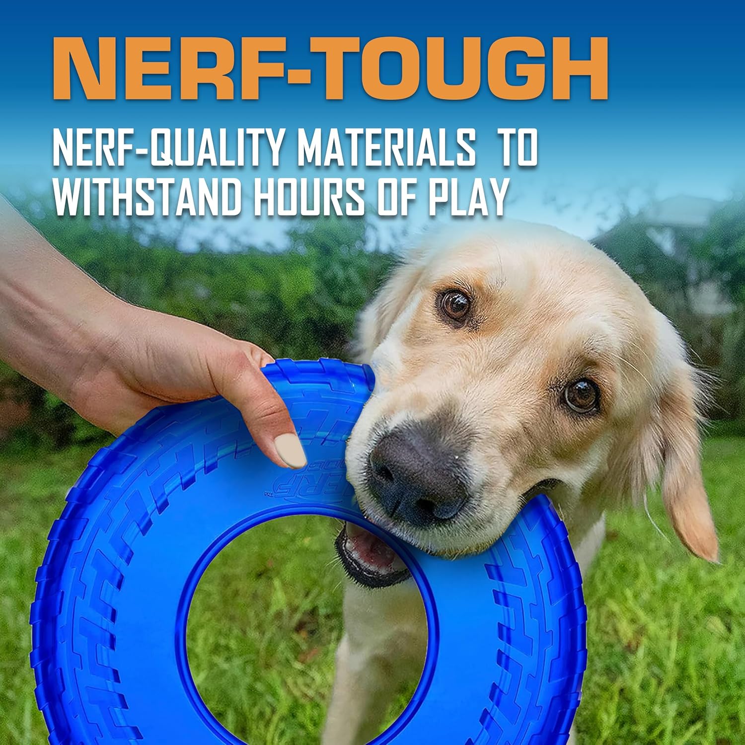 Flying Disc Dog Toy Set