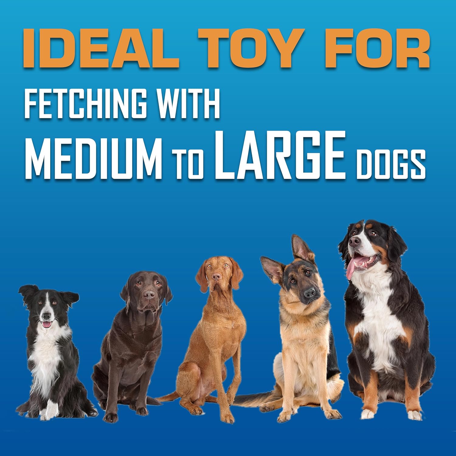 Flying Disc Dog Toy Set