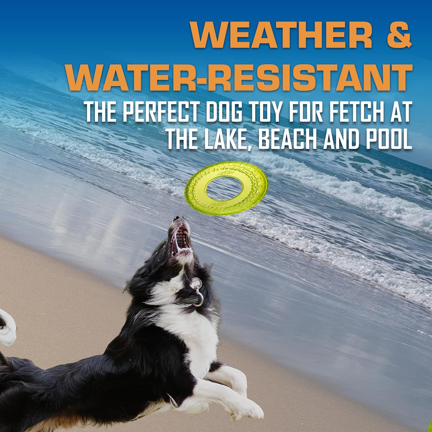 Flying Disc Dog Toy Set