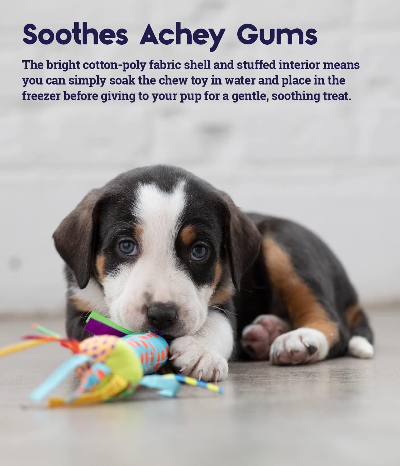 Freezable Puppy Teething Chew Toy