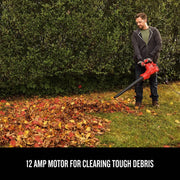 3-in-1 Electric Leaf Blower