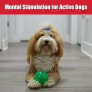 Interactive Treat Dispensing Puzzle Ball for Dogs