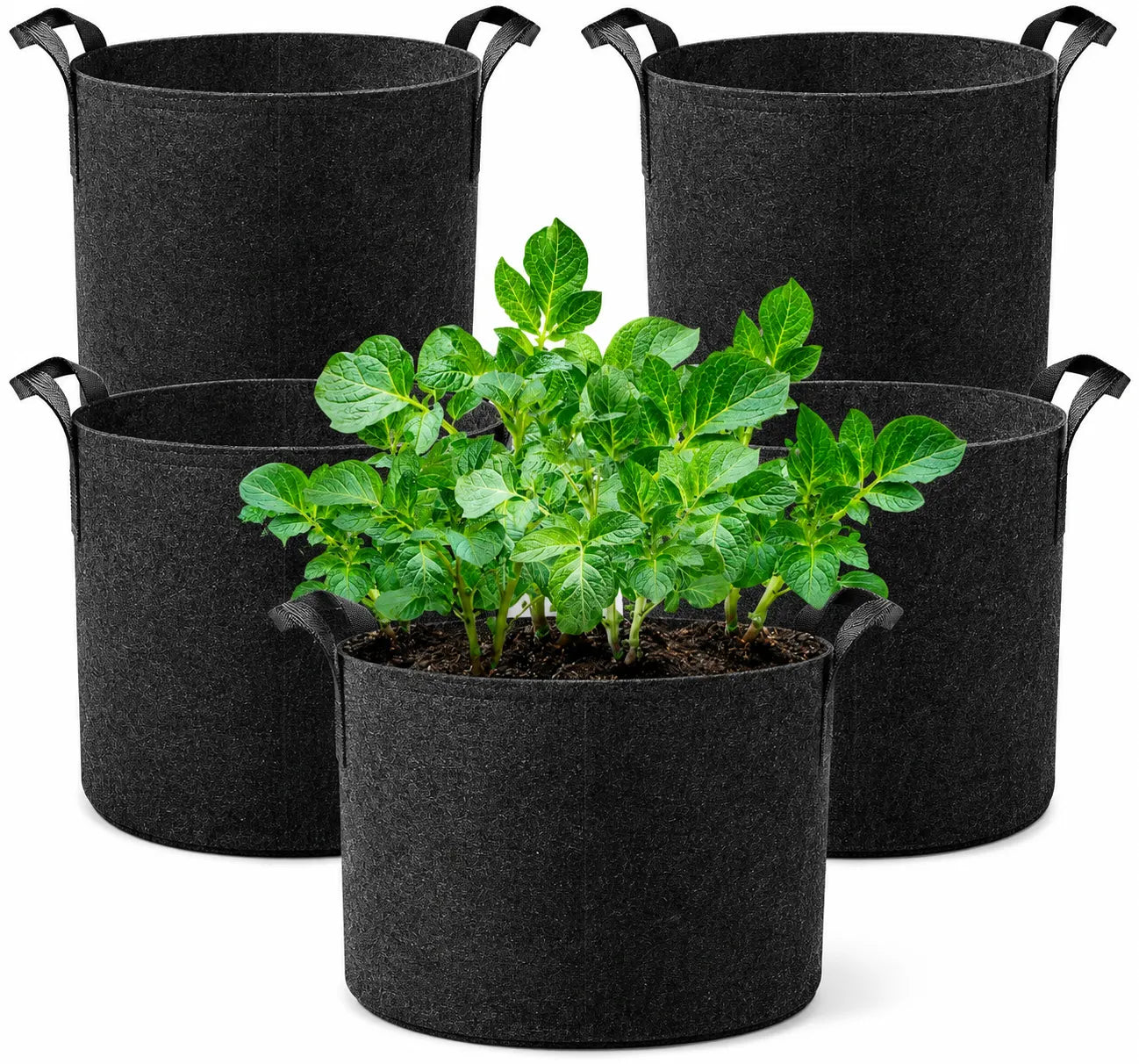 Fabric Grow Bags