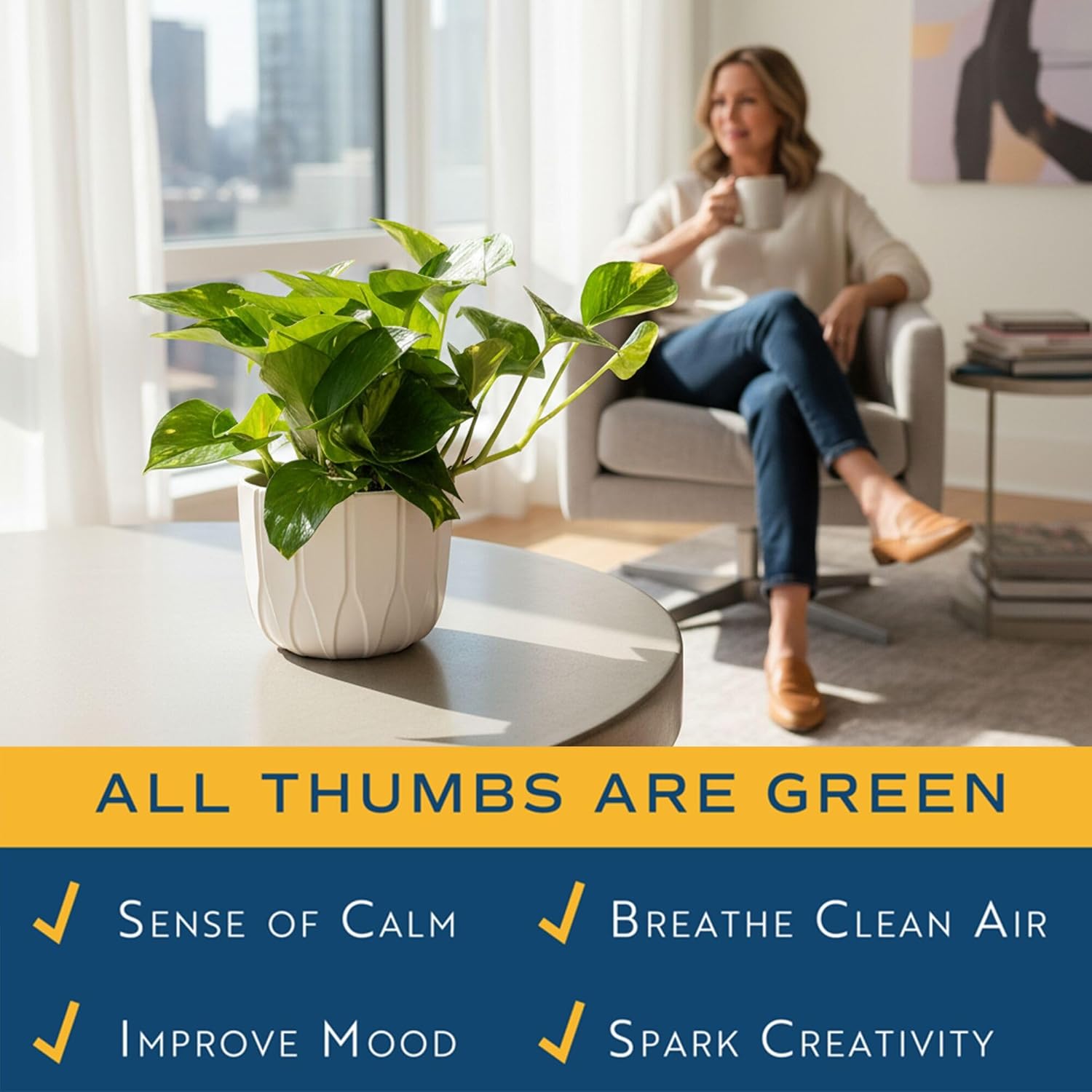 Golden Pothos Plant