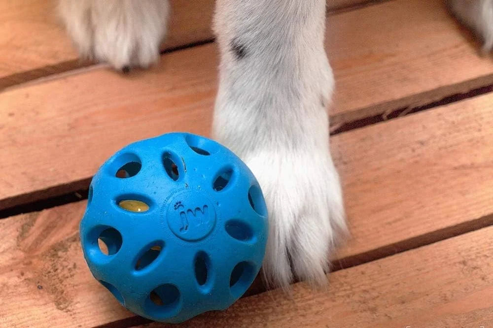 Crunchy Crackle Ball Dog Toy