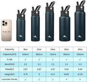 Insulated Stainless Steel Sports Bottle