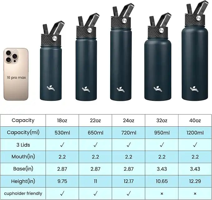 Insulated Stainless Steel Sports Bottle