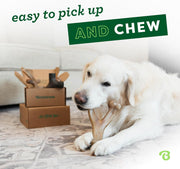 Heavy Duty Dog Chew Bones