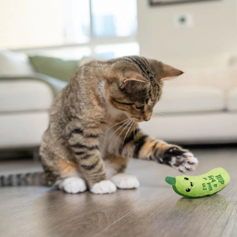Crunchy Pickle Catnip Kicker Cat Toy